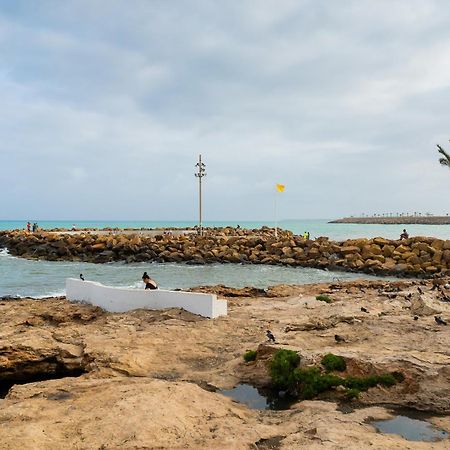 Sirena Del Mar Διαμέρισμα Τορεβιέχα Εξωτερικό φωτογραφία